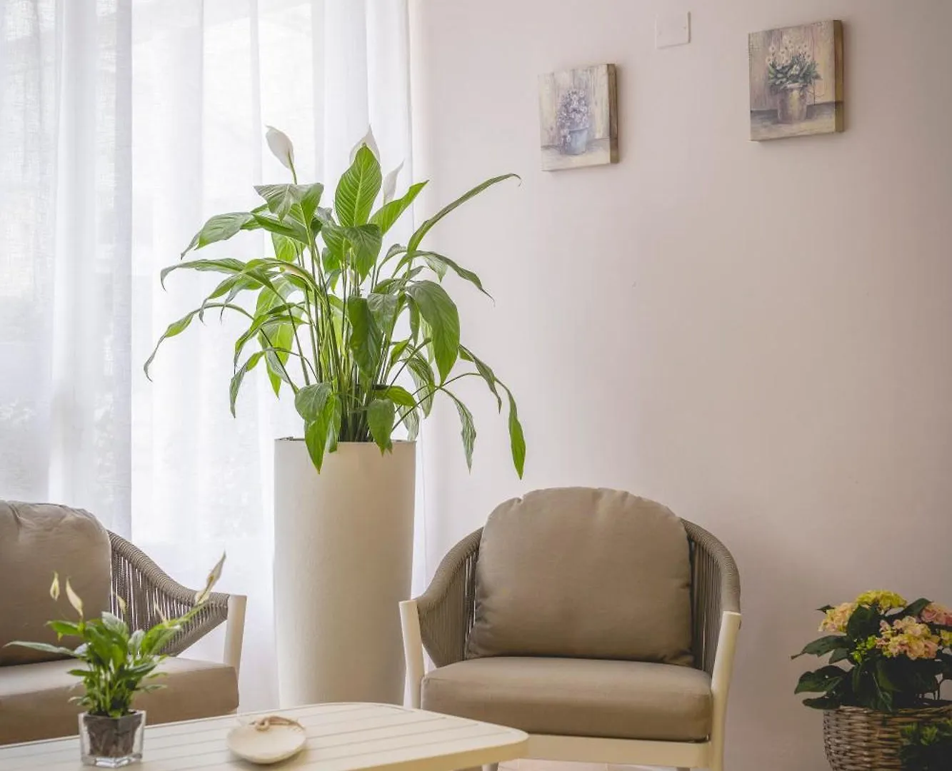 Hotel La Perla Cervia 0*,  Italy